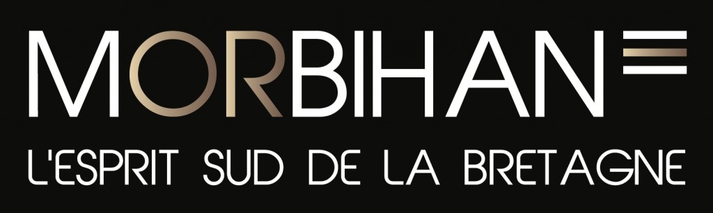 cdt-morbihan-logo