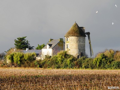 moulin de kervoyal à damgan