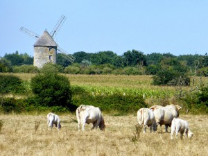 Kervoyal En Damgan