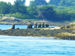 Cromlech de l'îlot de "Er Lanic"