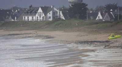un loup sur une plage bretonne